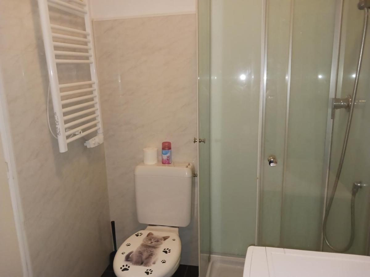 T2 50M2 Residence Les Acacias Vue Degagee Montagne Ax-les-Thermes Exterior foto